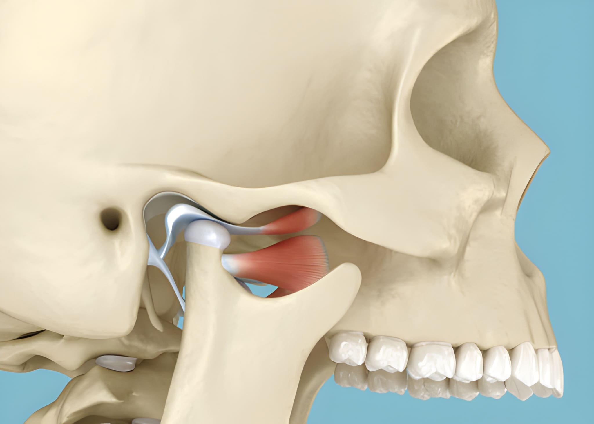 TMJ/TMD Treatment in Raleigh, NC: Effective Relief at Triangle Dentistry_FI